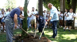 Simbolična akcija: Ćurić i mladi zasadili drvo čempresa