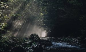 Rogatičanka osvojila prvu nagradu: Glorija snimila najljepšu fotografiju FOTO