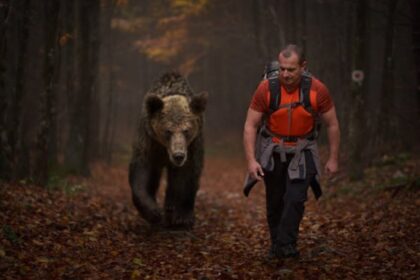 Muškarac ili medvjed? Pitanje usijalo mreže, žene radije biraju smrt VIDEO