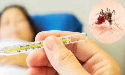 U Evropi ih sve više: U Srpskoj nema slučajeva denga groznice