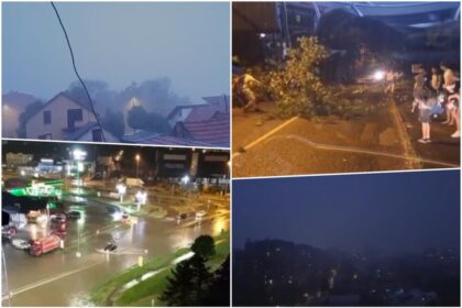 Nevrijeme poharalo Beograd: Na ulicama drveće, granje i voda FOTO, VIDEO