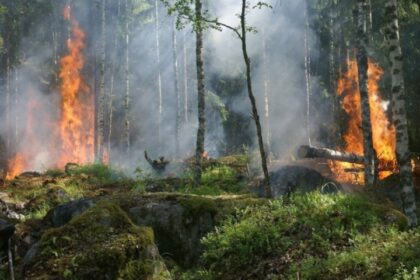 250 vatrogasaca na terenu: Veliki požar zahvatio grčko poluostrvo, stanovništvo evakuisano