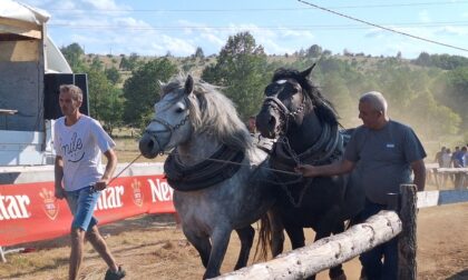 Štraparijada kod Drvara privukla oko hiljadu posjetitelja: Takmičenje konja kao očuvanje tradicije kraja