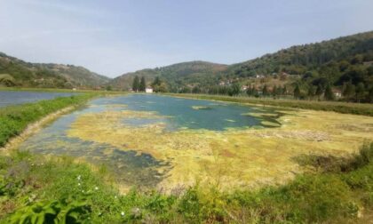 Inspektori uzeli uzorke: Voda iz banjalučkog “Vodovoda” ide u “Batut”