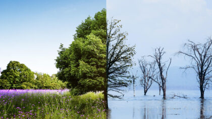 Upozorenja stručnjaka: Naš region najviše ugrožen klimatskim promjenama