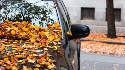 Zbog čega je važno očistiti napadalo lišće sa automobila