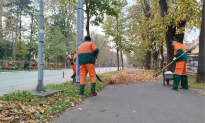 Jesenje aktivnosti u Banjaluci: U toku prikupljanje lišća sa javnih površina