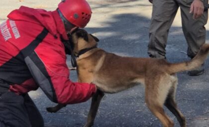 Pas tragač iz Republike Srpske na obuci u Turskoj: “Pred nama je dug put”