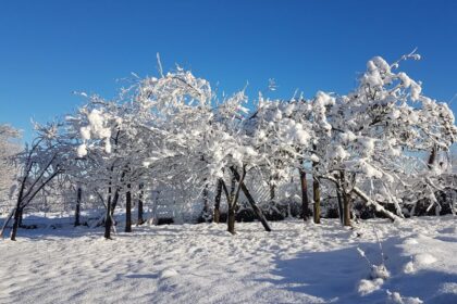 Za danas najavljeno sunčano, ali hladno vrijeme