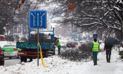 Akcija u Banjaluci: Ekipe saniraju posljedice obilnih snježnih padavina FOTO